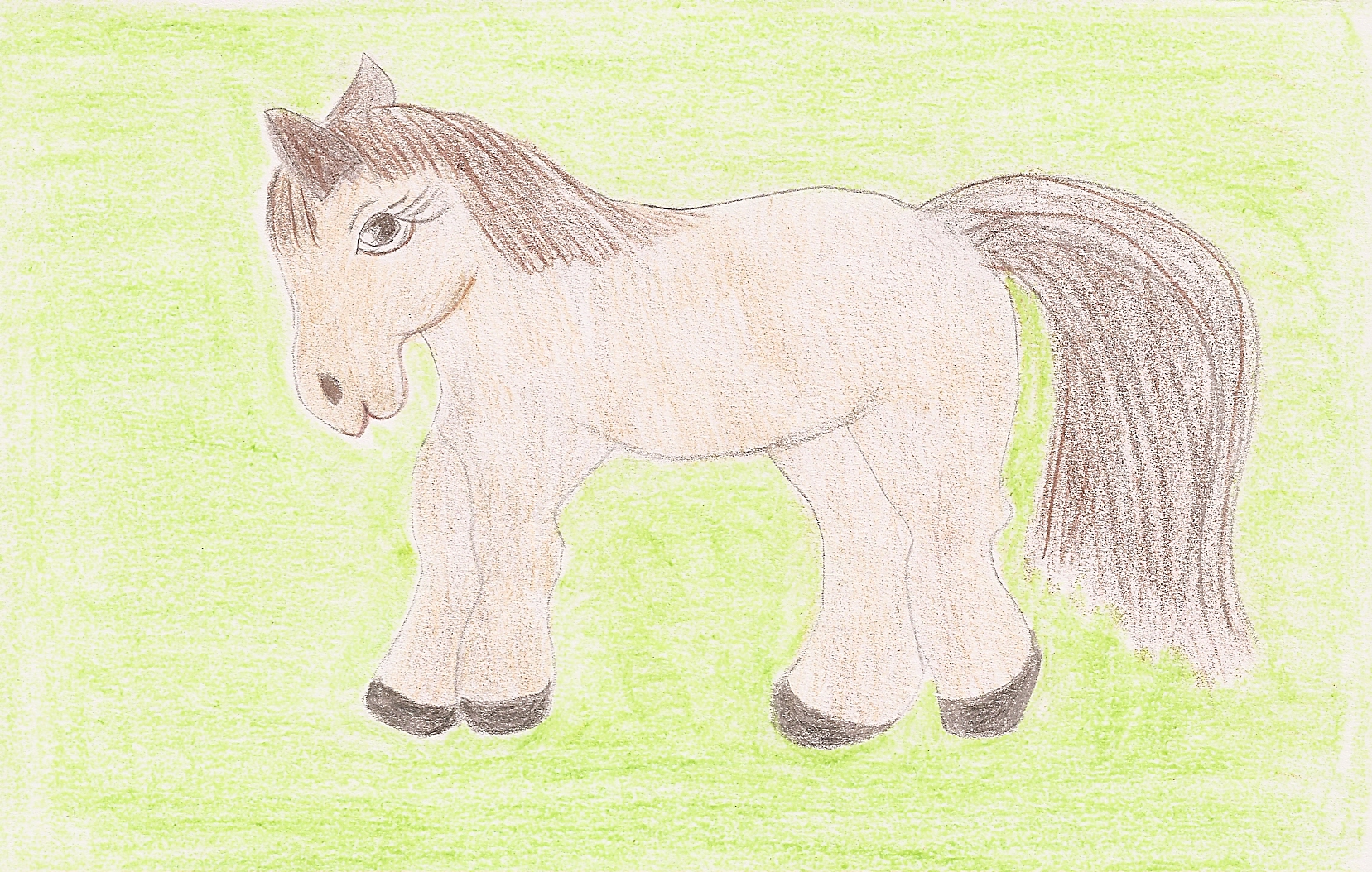 Remmy the Pony, illustrated by Kathleen Rountree